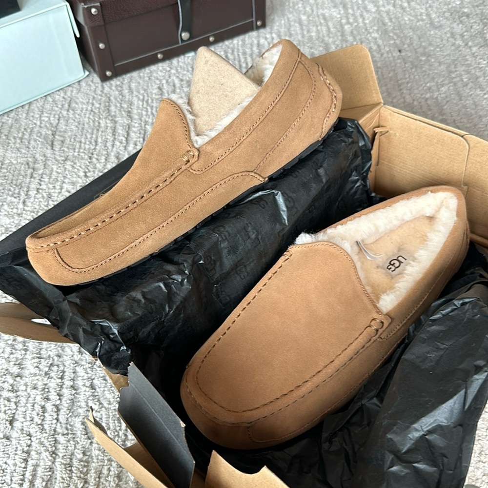 Brand new uggs men’s moccasins.